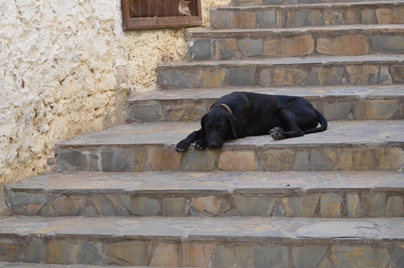 Découvrez le prix moyen d'un monte-escalier Stannah en 2026 et faites le bon choix
