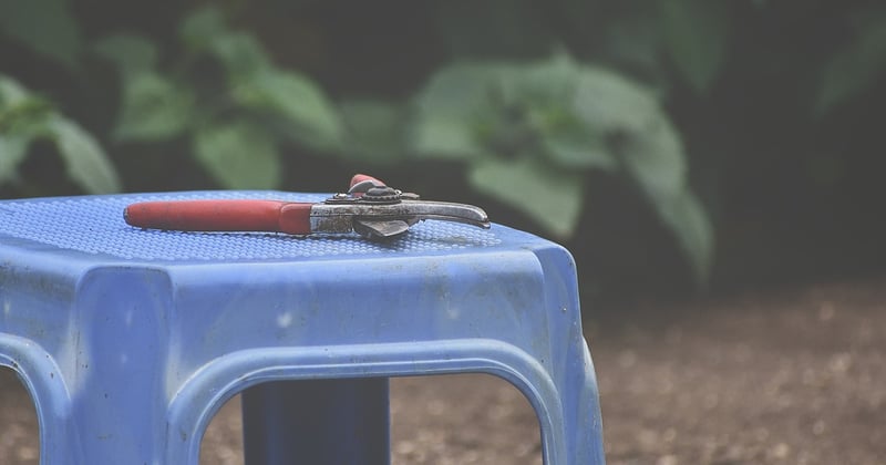 Quel est le meilleur sécateur de jardin ? Notre comparatif ultime