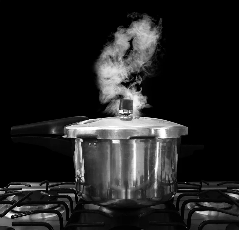 Staub : la bête de saisie