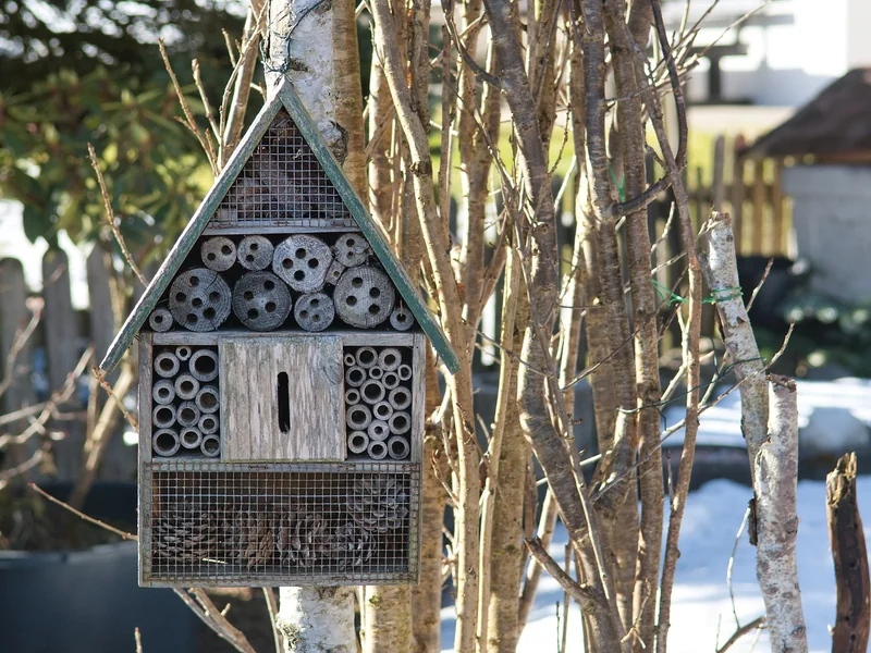 Les meilleurs matériaux écologiques pour la maison