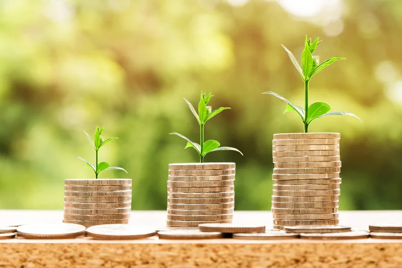 Options de financement et location