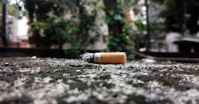 Ces vers noirs présentent-ils un danger pour la santé ?