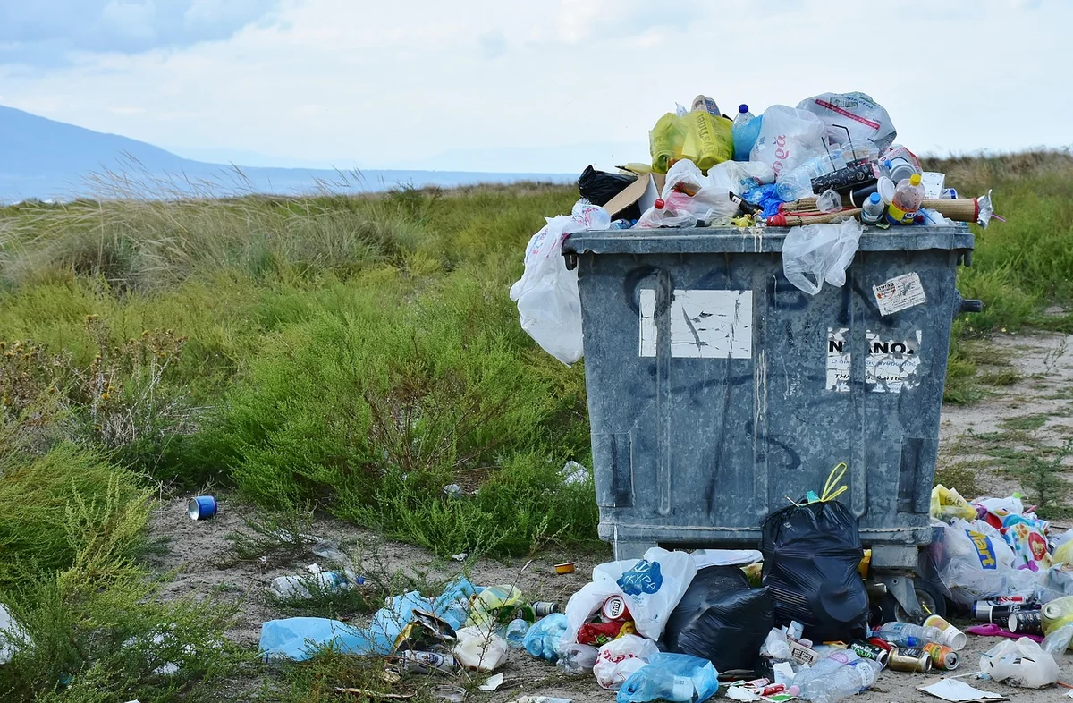 Pourquoi les végétaux coûtent plus cher au traitement que les gravats