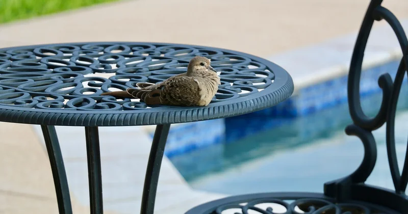 Est-ce que l'habillage bois affecte la garantie de la piscine ?