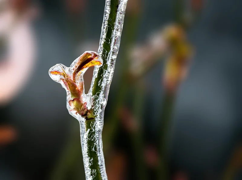 Et en hiver, alors ?